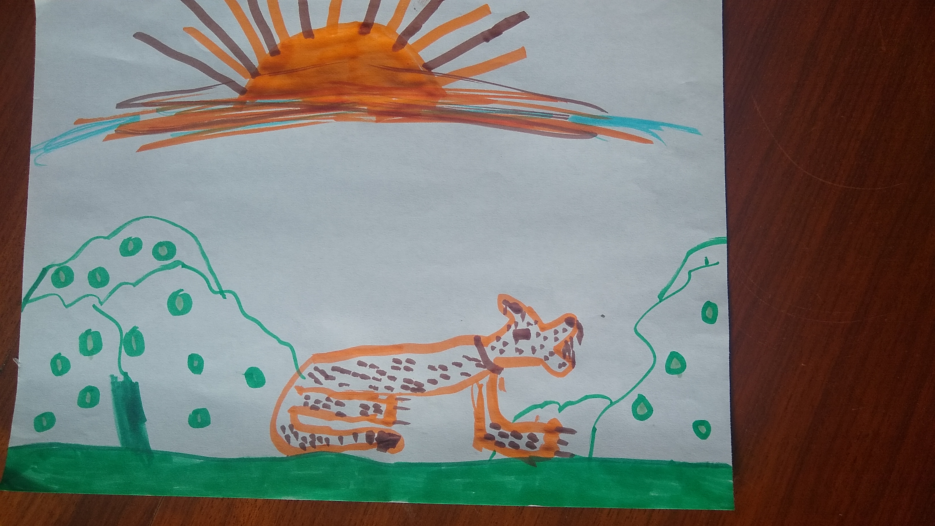 Leopard